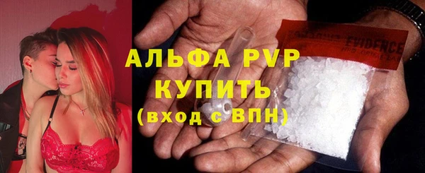 ешки Алексин