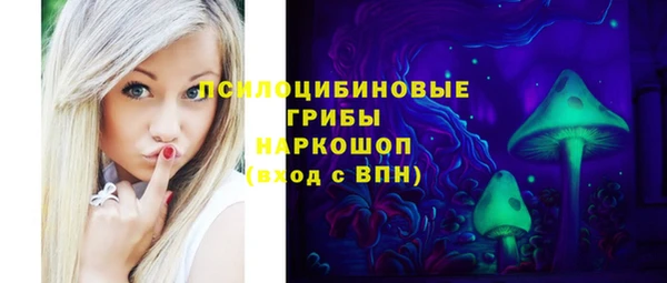 ешки Алексин