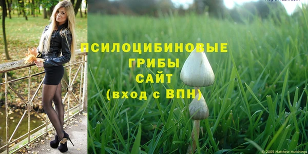 ешки Алексин