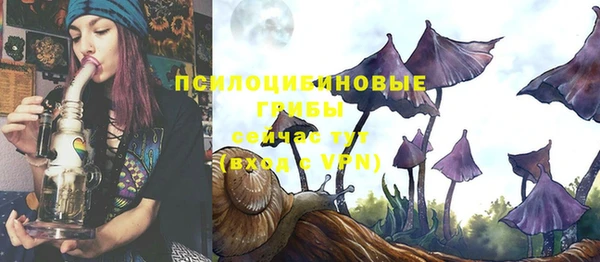 ешки Алексин