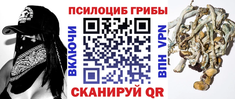 Галлюциногенные грибы Psilocybe  Тверь 